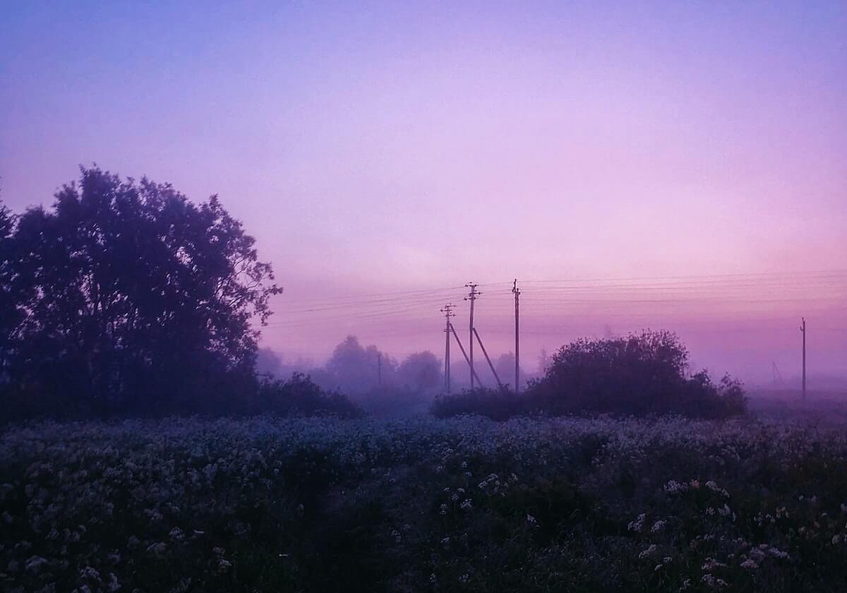 推特一页讲义:主题镜头选择带来什么偏向,做法把结论降到“可能”